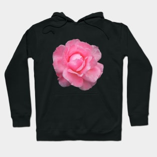 Raindrops Dew on Pink Rose Flower Hoodie